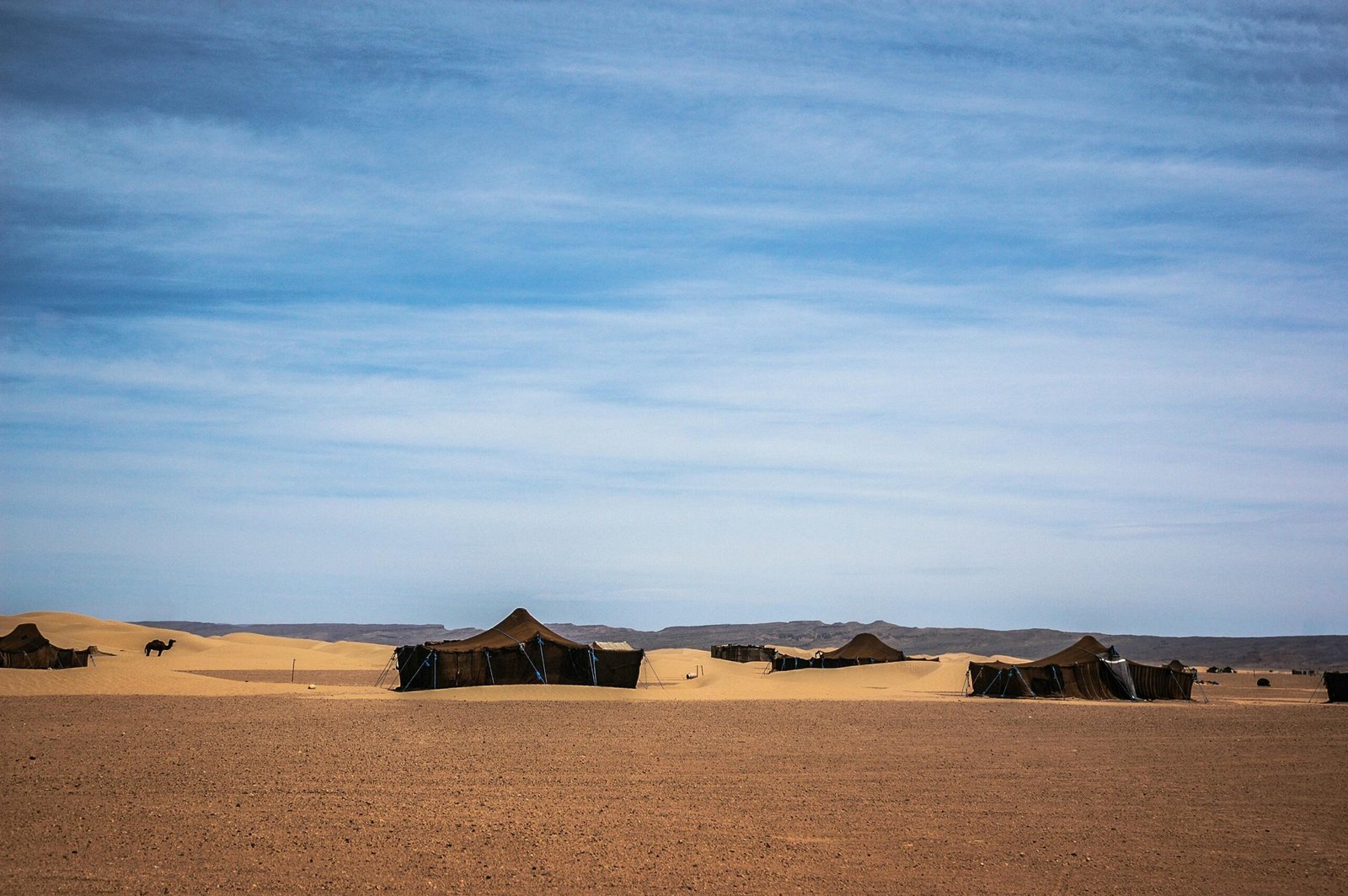 Majestic view of tents in the desert landscape of Zagora, Morocco with a clear blue sky.