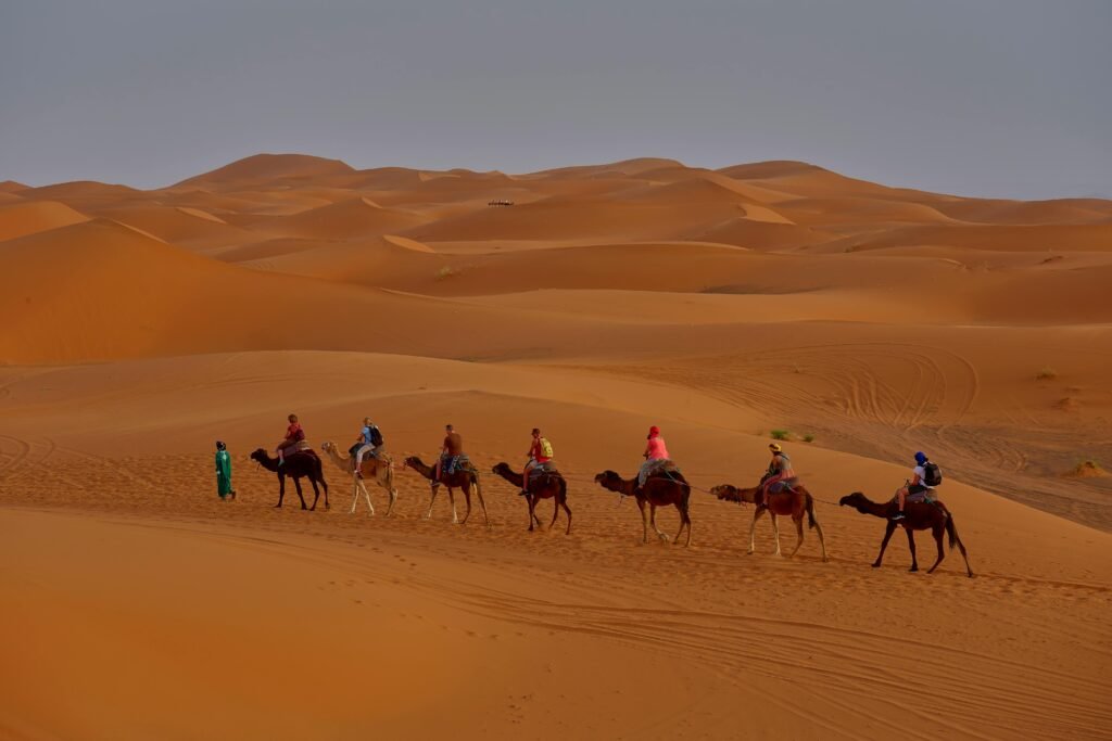 Tourists ride camels across stunning sand dunes under a clear desert sky, capturing the essence of desert adventure.