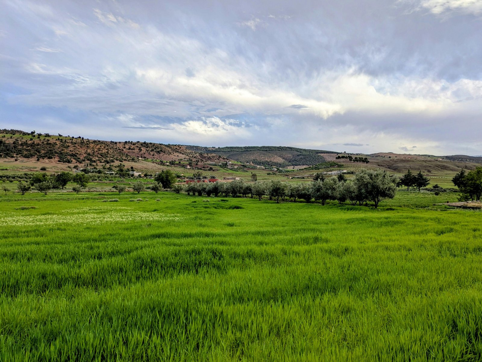 Vibrant green fields stretch under a cloudy sky in a peaceful rural landscape.