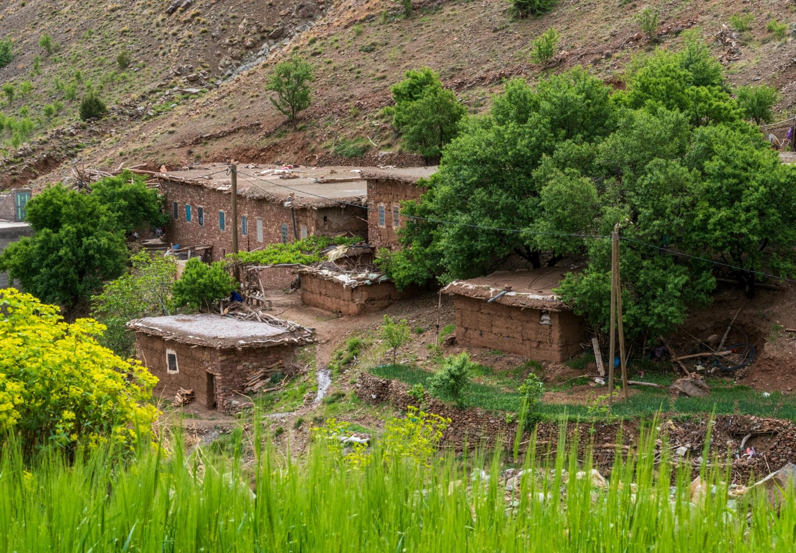 Scenic view of traditional mud brick homes surrounded by greenery in rural Morocco.