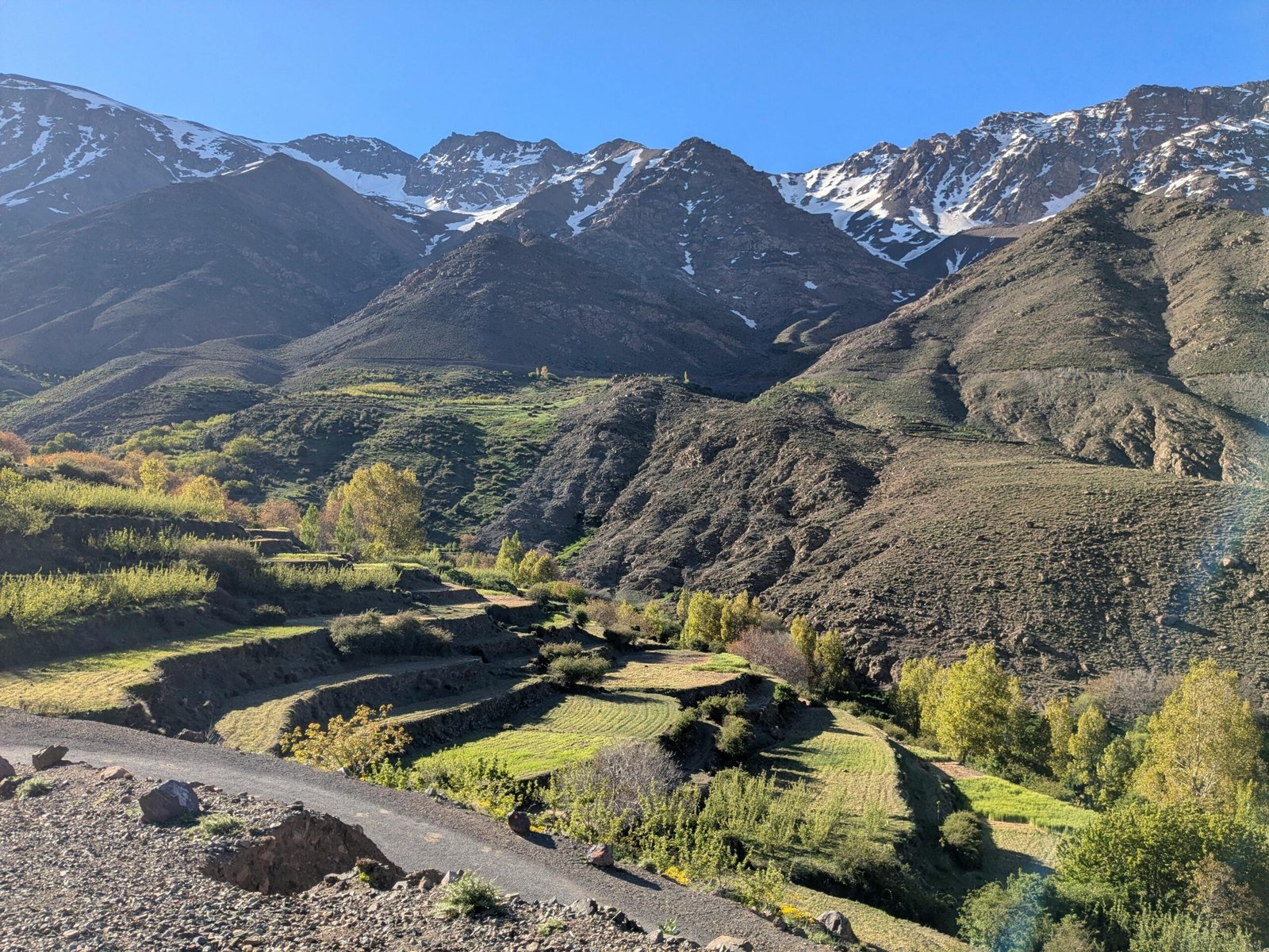Breathtaking landscape of Tachdirt with lush terraced fields and snow-capped mountains under clear sky.