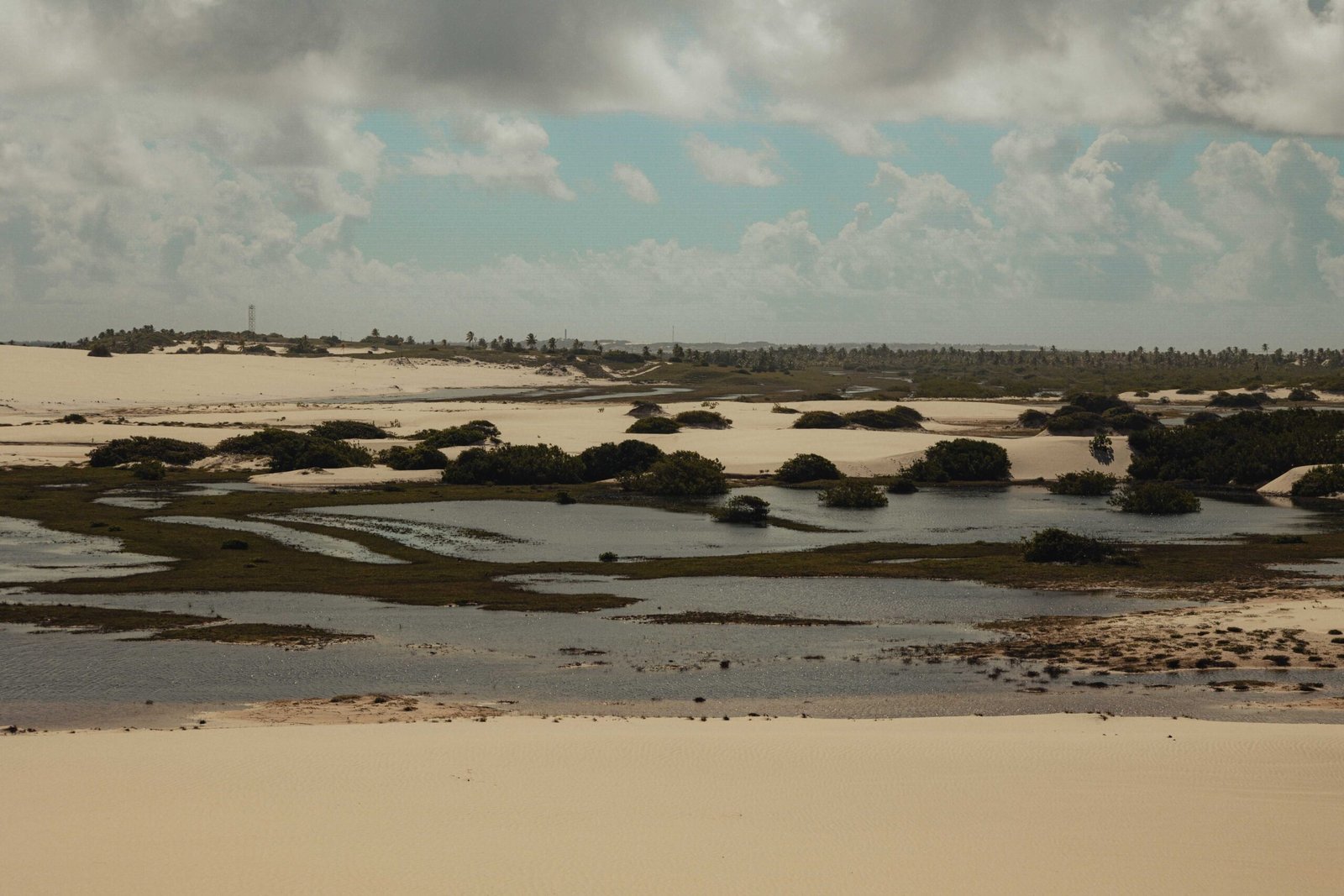 A vast sandy landscape with scattered vegetation and shallow water pools under a cloudy sky.