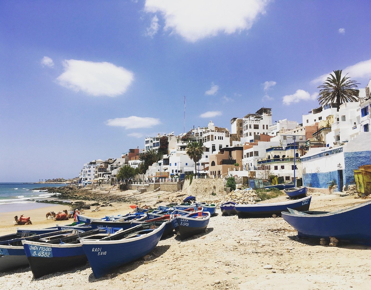 taghazout, beach, morocco, atlantic, africa, sea, travel, ocean, taghazout, taghazout, taghazout, taghazout, taghazout